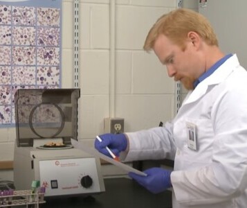 Клиника лечения наркозависимости в Тайшете Врач в кабинете клиники